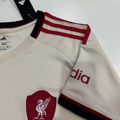 Liverpool 25/26 Away kit