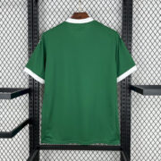 Palmeiras 25/26 Home kit - Image 2