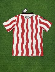 Stoke City 25/26 Home kit - Image 2